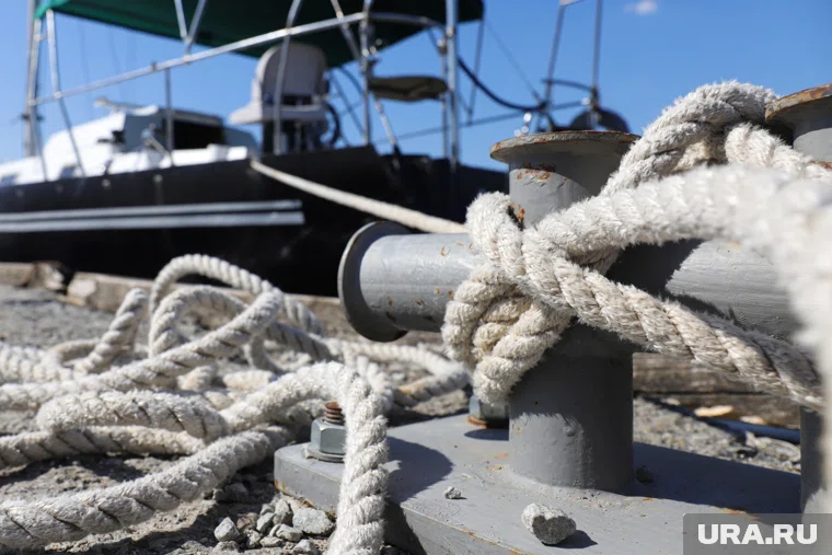 Кан незаконно продал крабов на 2,6 миллиарда рублей