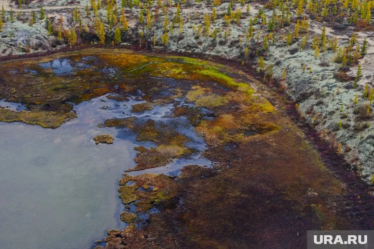 Губернатор Дмитрий Артюхов в скором времени подпишет договор