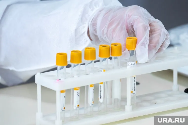 За сутки в Бразилии — 20 тысяч новых случаев COVID-19