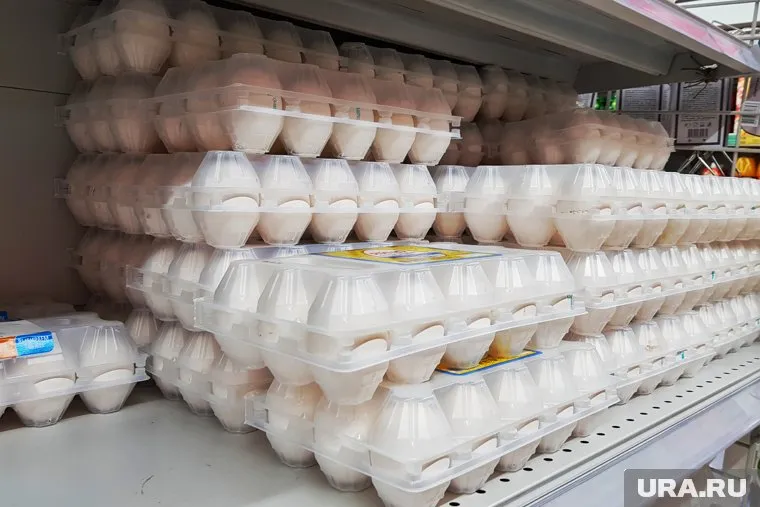 Цена на куриные яйца в Кургане варьируется от 102 до 169 рублей за десяток