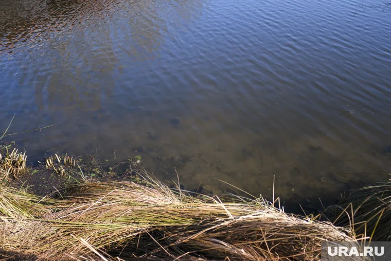 По одной из версий, девушка могла случайно упасть в воду, а парень кинулся ее спасать