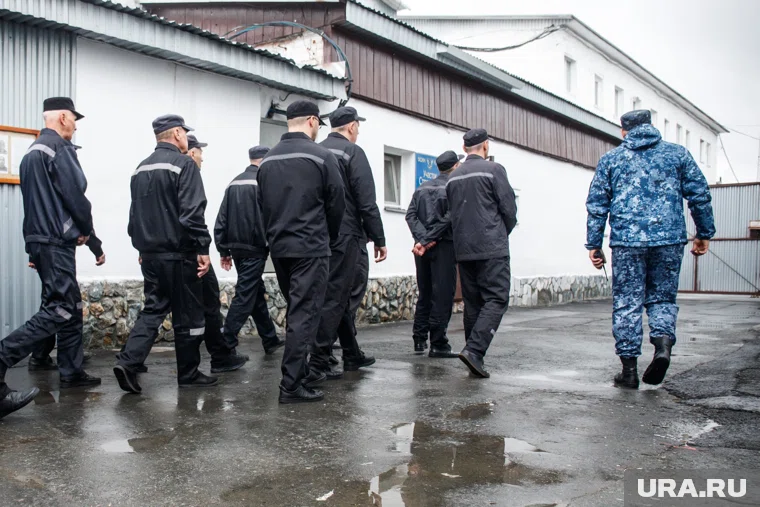 В исправительной колонии Тамбиев и Эльмира заключили брак №11 «БОР»