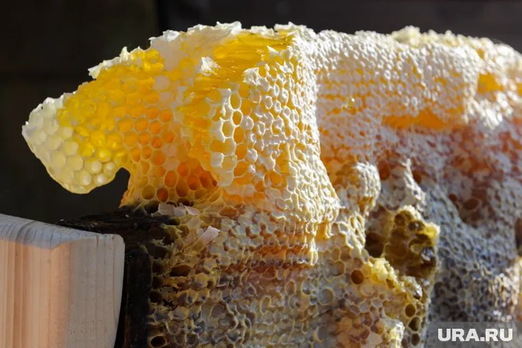 В Советском районе закупили бочку меда для мобилизованных земляков