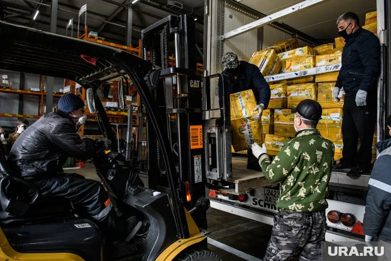 В Россию смогут ввозить санкционные товары