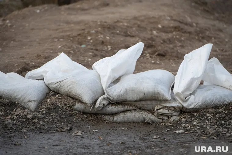 Откуда в лесу взялся мусорный мешок, полицейский не уточнил