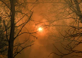 В Свердловской области возникла угроза повтора пожаров 2023 года