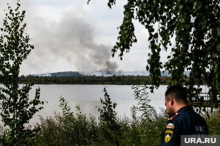 Площадь пожаров в области увеличилась почти на тысячу гектаров