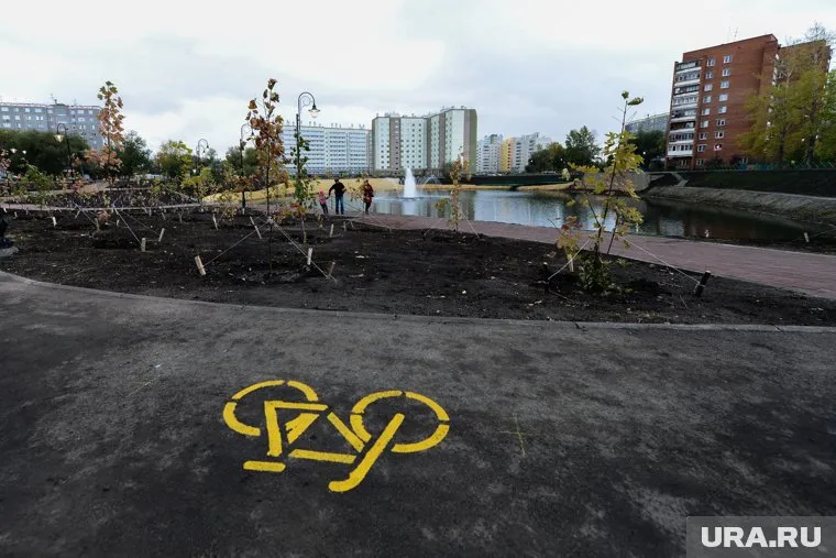 Развитие сети велодорожек будет полезно городу, отметил Виталий Безруков