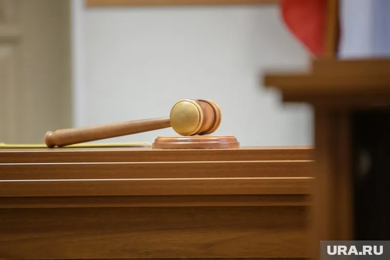 Суд оставил без движения ходатайство Ирины Дубровской