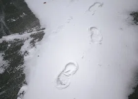 Сотни рабочих вышли на уборку снега в Екатеринбурге