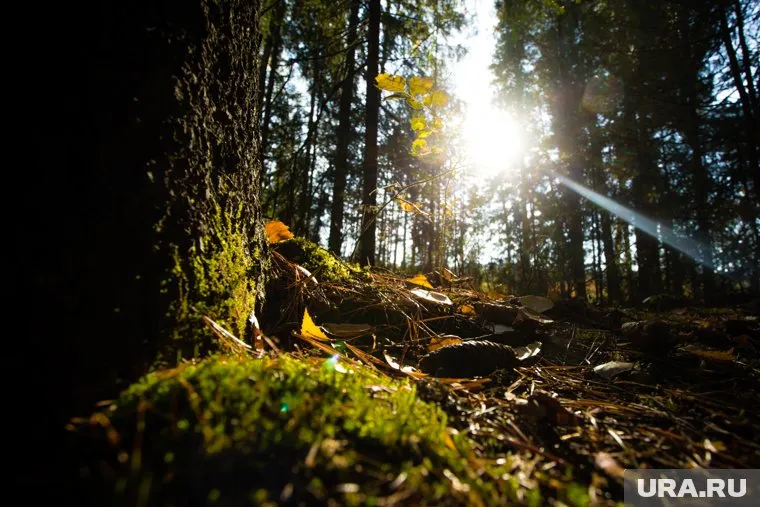 В регионах России в последнюю неделю апреля наступит климатическое лето