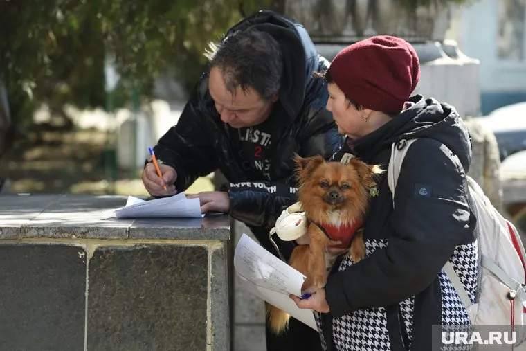В Бельгии беженцы из Украины получают пособие в 1200 евро
