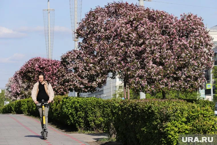 Весна вернется на Урал всего на один день