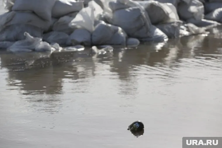 Уровень воды в Викулово будет расти еще неделю