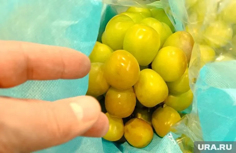 Необычный виноград появился на прилавках разных магазинов Челябинска