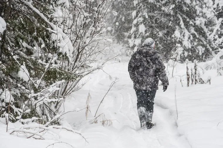 Пресс-тур в лесничество по заготовке новогодних елей. Первоуральск