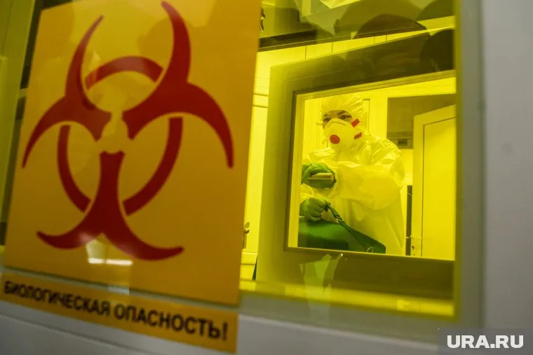 Сибирская язва не поддается дезинфицирующими средствами