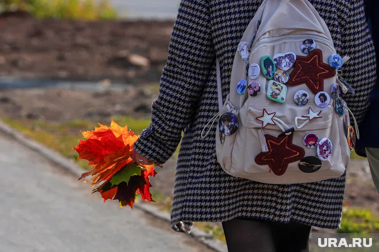 Школьница вынуждена отбиваться от нападок педагога