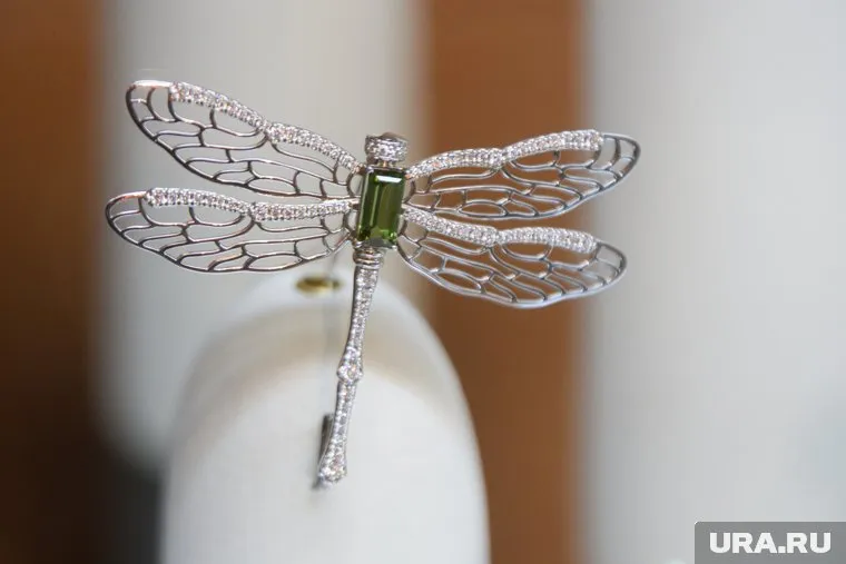 Пластиковая стрекоза оказалась рабочей – кровососущие не лезли в лицо, уши и нос.