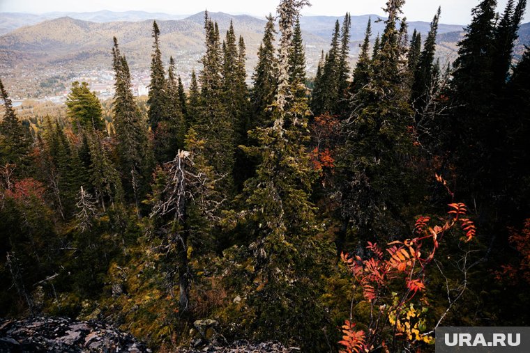 «Что-то задержало»: поисково-спасательный отряд назвал основную версию исчезновения семьи Усольцевых