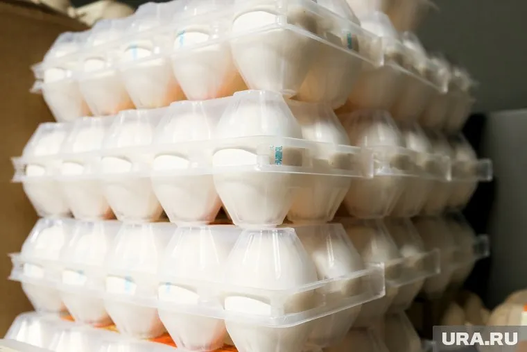 Работа упаковщиком яиц предполагает полную занятость