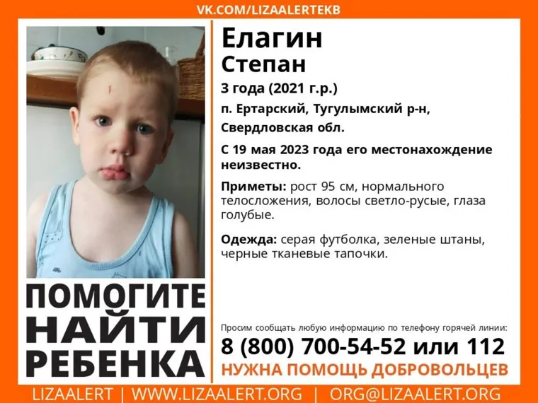 В поселке Ертарский Тугулымского района ищут Степана Елагина 2021 года рождения, фото