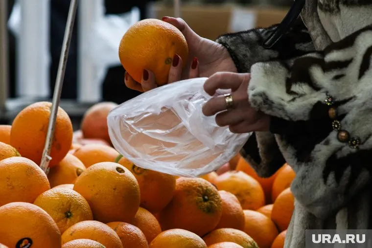 В образцах марокканских и египетских цитрусов обнаружена желтая щитовка