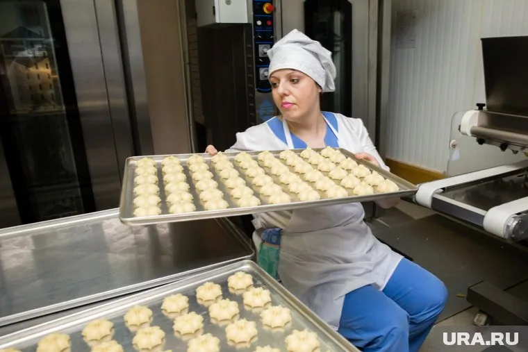 Сургутские чиновники и школьники обедать будут по одинаковому меню