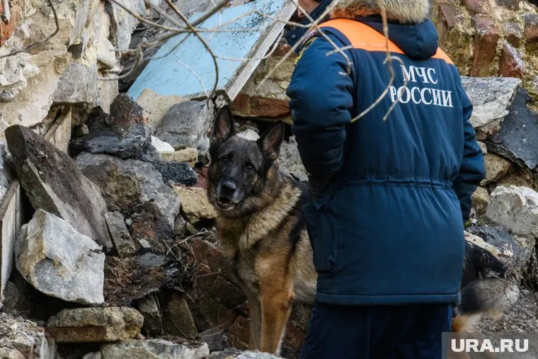 Теперь оценивать адекватность поведения юриста будут в федеральном МЧС