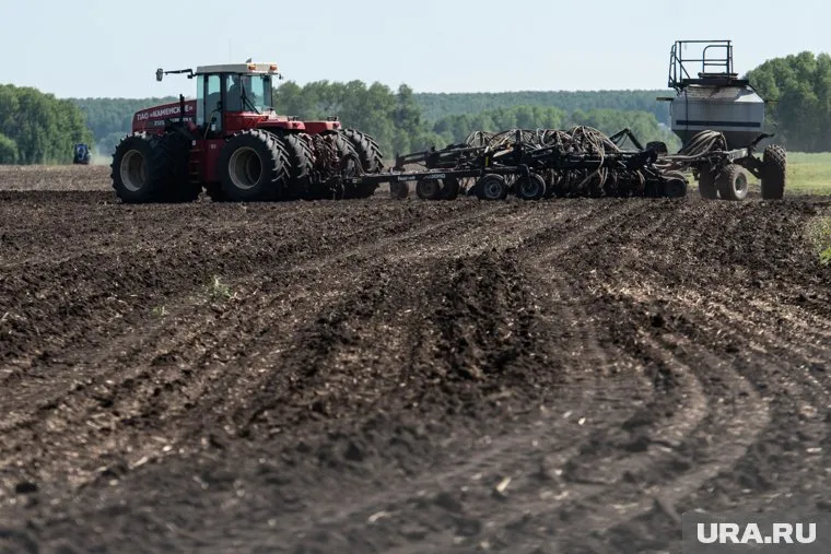 В Курганской области планируется засеять минимум порядка 1,4 млн гектаров