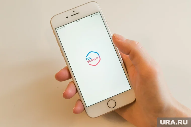 ФСБ согласовала подключение “Госуслуг” к новому российскому мессенджеру