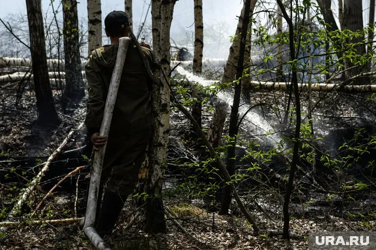 Синоптики прогнозируют высокий класс пожароопасности