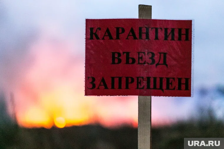 Карантин был объявлен 23 октября
