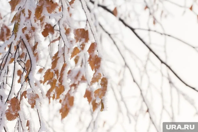 По прогнозам синоптиков, в Тюменской области похолодает до -17 градусов