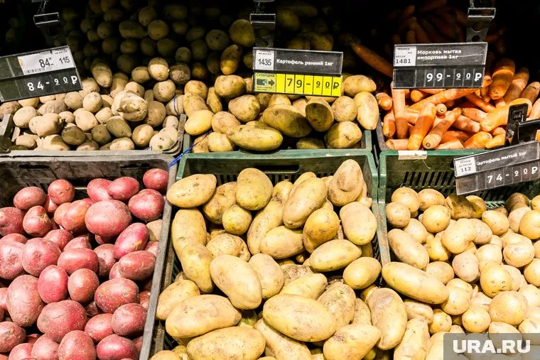 Картофель подорожал больше всех среди овощей 