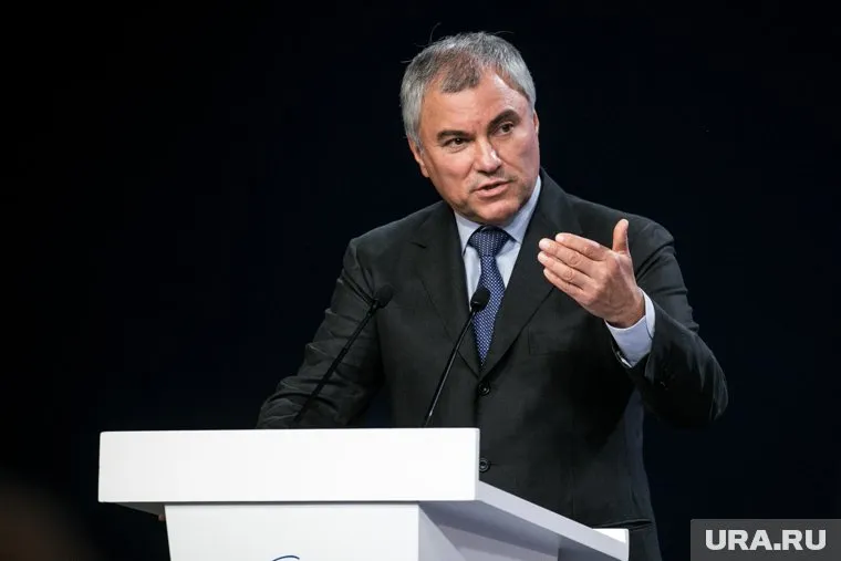 Европейские государства не должны закрывать глаза на преступления украинских властей, заявил Володин
