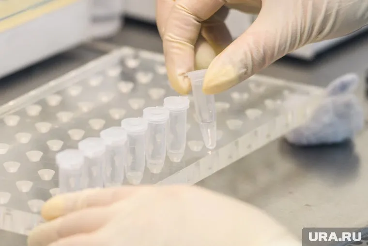 Поставки медицинских изделий из Японии в Россию выросли по итогам 2022 года