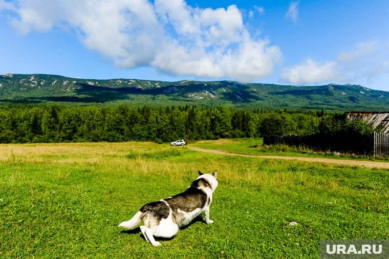 В России есть места, где на сотни километров нет людей, отметила Наталия Осипова