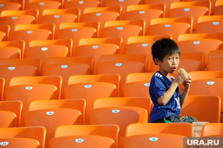 Попасть на матч любимой сборной можно — надо лишь приложить усилия
