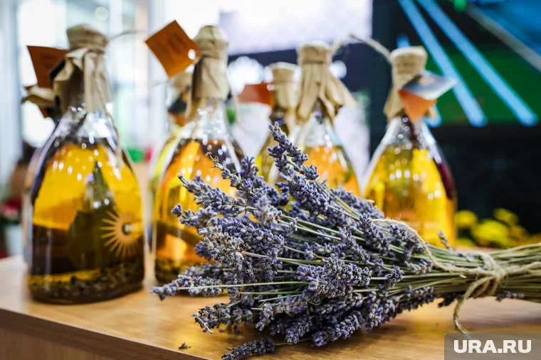 Редкое масло собираются производить под Курганом