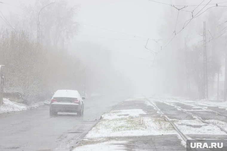 К середине сентября снег накрыл уже до 20% территории России