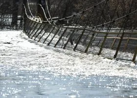 Фотография из галереи