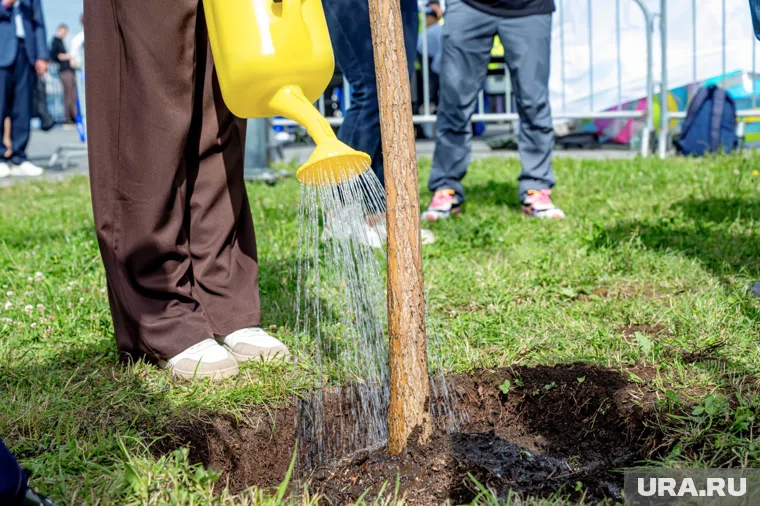 Приняло участие более 80 жителей