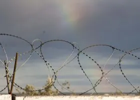 Фотография из галереи