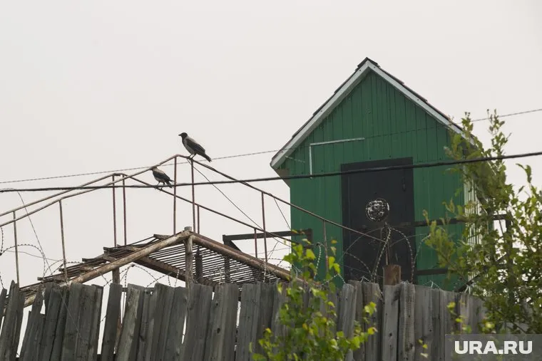 Им было жалко расставаться с «хатой», к которой привыкли