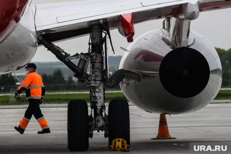 Птицу обнаружили во время осмотра двигателя