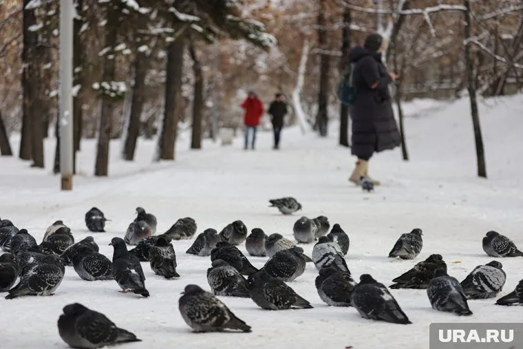 В регионе ждут обильные осадки