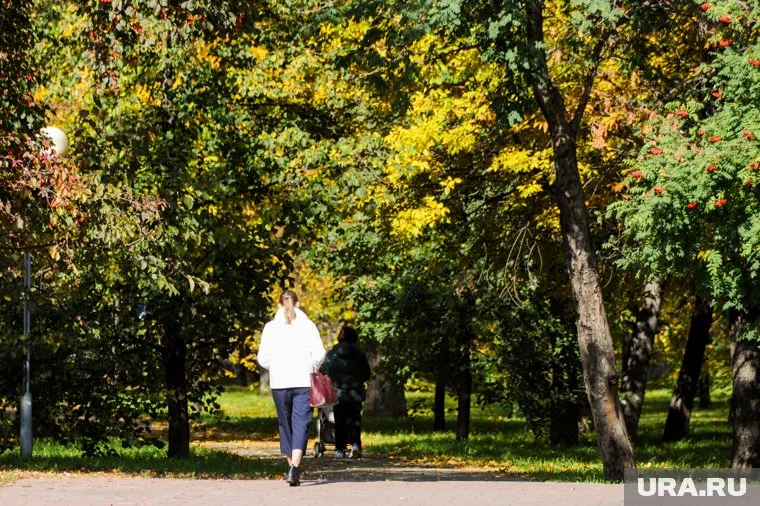 На Урале в начале октября ожидается до 19 градусов тепла, отметил Александр Шувалов