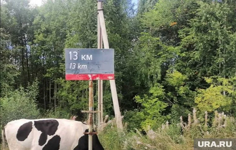 Теперь 14 ранее безымянных остановок имеют названия