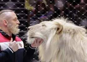 «Играл в рулетку с хищниками»: Аскольд Запашный объяснил URA.RU нападение льва в «Тайгане»